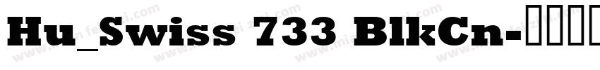 Hu_Swiss 733 BlkCn字体转换